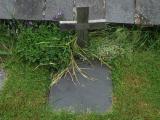 image of grave number 356587